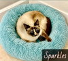 Sparkles