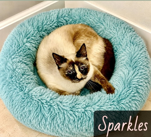 Sparkles