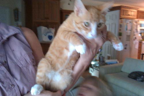 Charlie