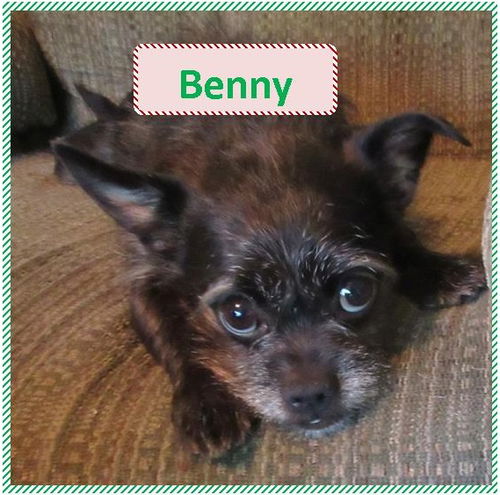 Benny