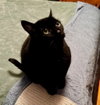 Rosie