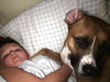 Buddy - courtesy post