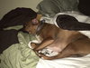 Buddy - courtesy post