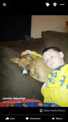 Buddy - courtesy post