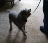 Spanky