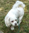Bugsy