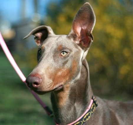 Miss Darla - Courtesy Listing