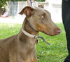 Miss Darla - Courtesy Listing
