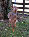 Miss Darla - Courtesy Listing