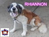 RHIANNON - Courtesy Listing