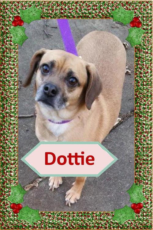 Dottie