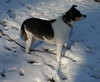 Molly