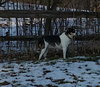 Molly