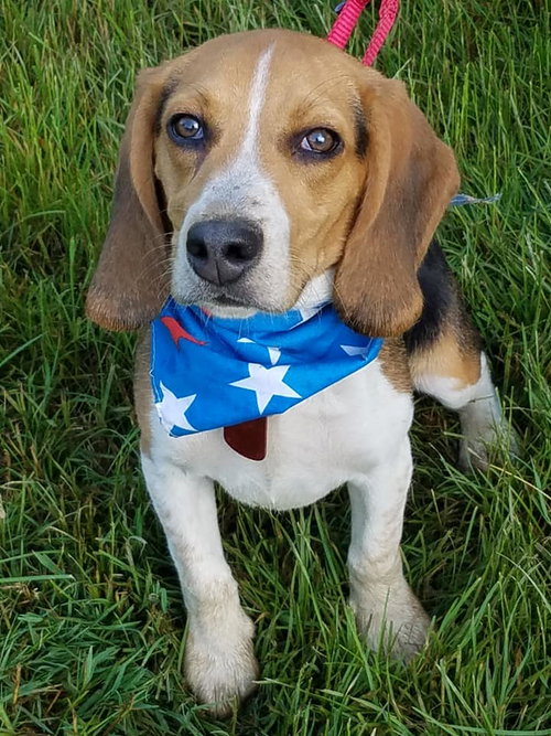Tucker