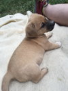 Sweet Baby James