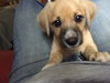 Sweet Baby James