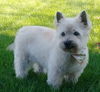 Bella - Senior Girl - Courtesy Listing