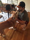 Skip-would like a home for the holidays!