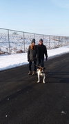 Pound Dog-Remi 149642