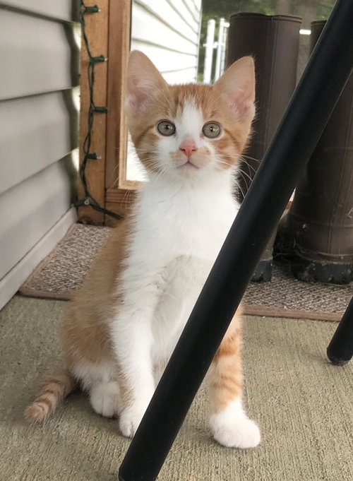 Milo