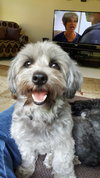 Molly - Courtesy Listing
