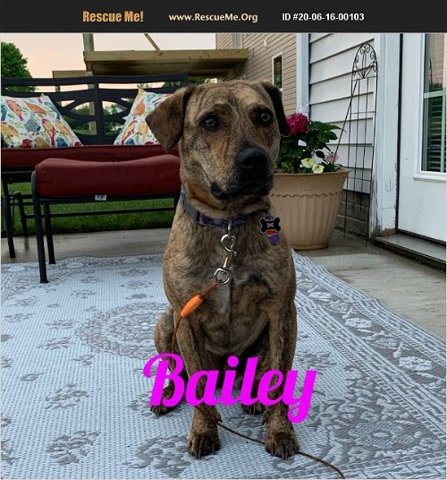 Bailey-Courtesy Listing