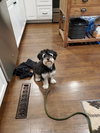 Twyla
