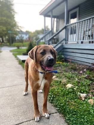 Tucker