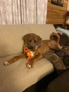 Tucker