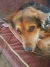 Lucy