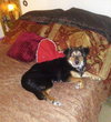 Lucy