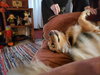 Lucy
