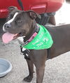 *Rosa - ONE FREE TRAINING SESSION