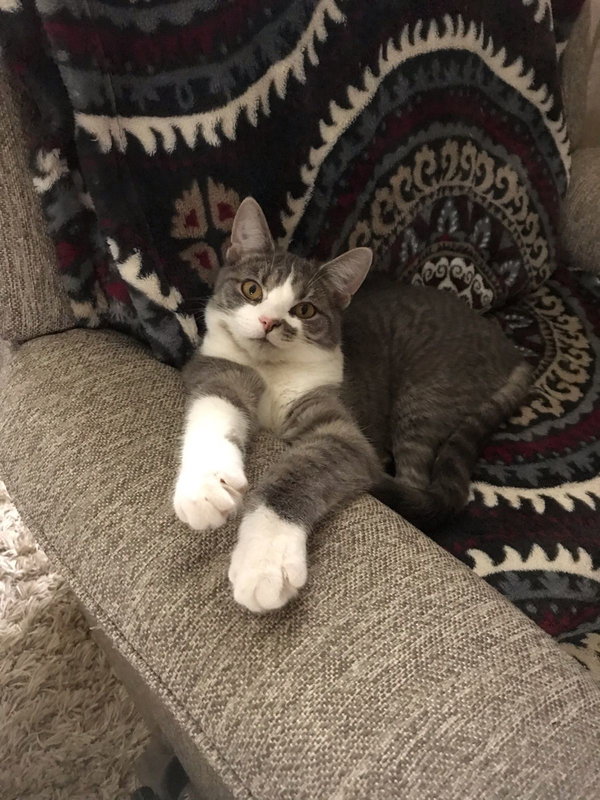 Marilyn - Happy Girl!
