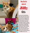 Jilly - *adoption fee sponsored!