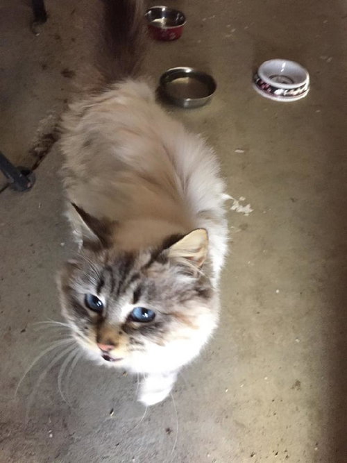Mimi - Courtesy Listing