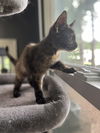 Betty- loving little baby