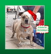 *Gretel - ONE FREE TRAINING SESSION