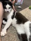 Skeeter- best friend material
