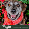 Nayla-Loves Car Rides