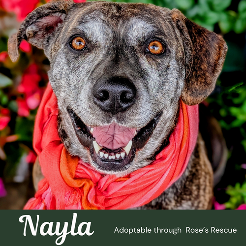 Nayla-Loves Car Rides