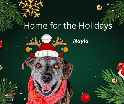 Nayla  -  5 years old