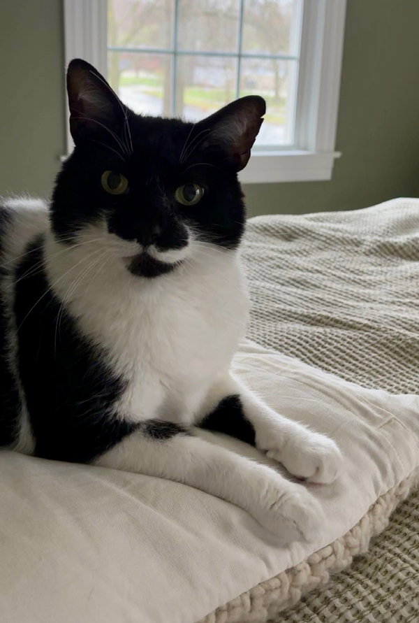 Mr. Kiki