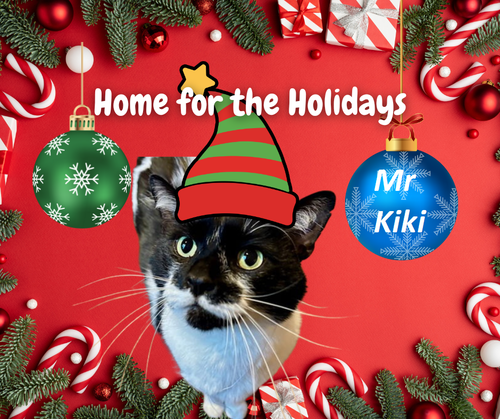 Mr. Kiki