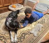 River-Great Family Dog