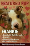 *Frankie-loves to give kisses