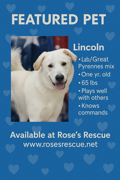 Lincoln