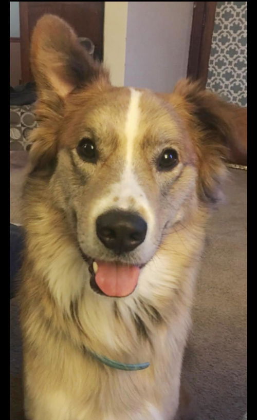 Bernie