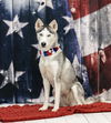 Shasta