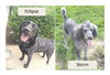 Eclipse & Storm-bonded pair